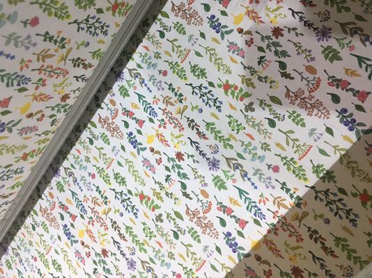 Máy in phun kỹ thuật số Máy in Banner Máy in cuộn để cuộn