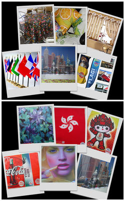 Vải in kỹ thuật số trực tiếp Thăng hoa 100% Polyester Warp Dệt vải