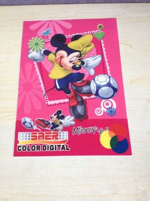 Warp dệt vải in kỹ thuật số cho ô Biểu ngữ bãi biển