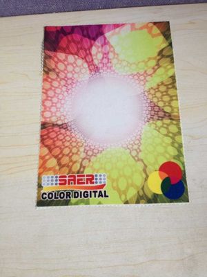 Warp dệt vải in kỹ thuật số cho ô Biểu ngữ bãi biển