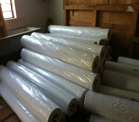 Vải in thăng hoa kỹ thuật số với Polyester dệt kim sợi dọc